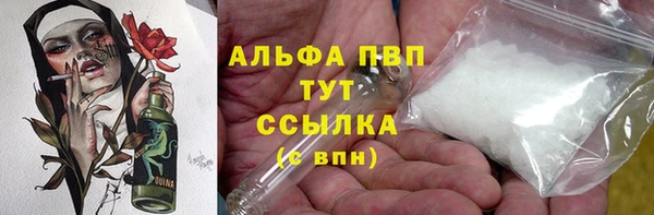 прущие грибы Майский