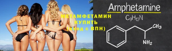 прущие грибы Майский