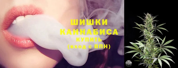 прущие грибы Майский