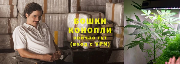каннабис Магас