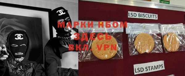 прущие грибы Майский