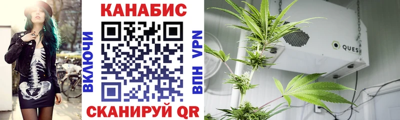 Канабис White Widow  Купить закладки  Солигалич 